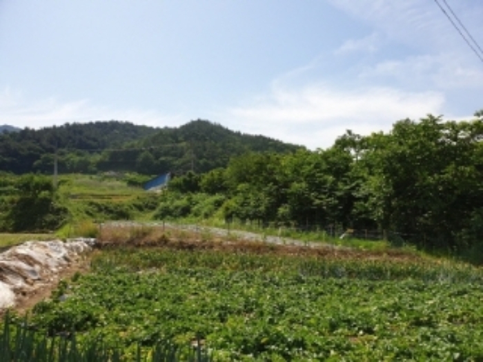 광주지법 2019타경7004-1 사진