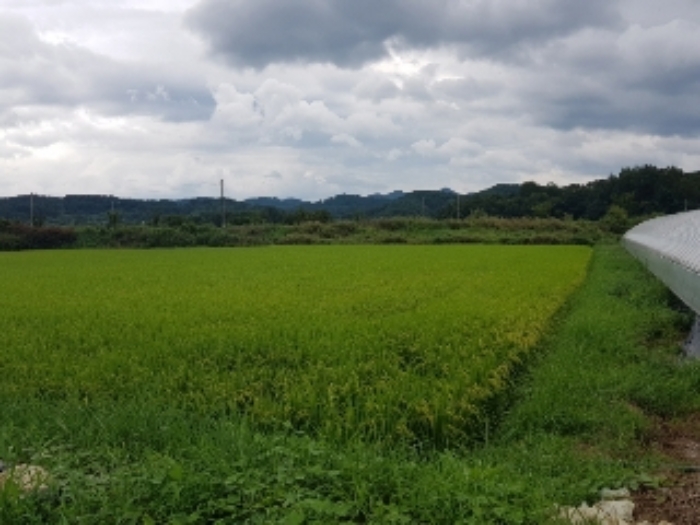 광주지법 2019타경7165-1 사진