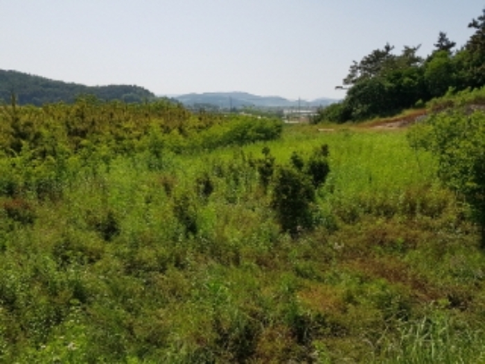 광주지법 2019타경7523-1 사진