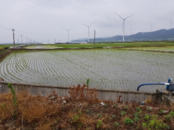 광주지법 2019타경7530-1 사진