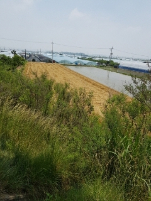 광주지법 2019타경7783-2 사진