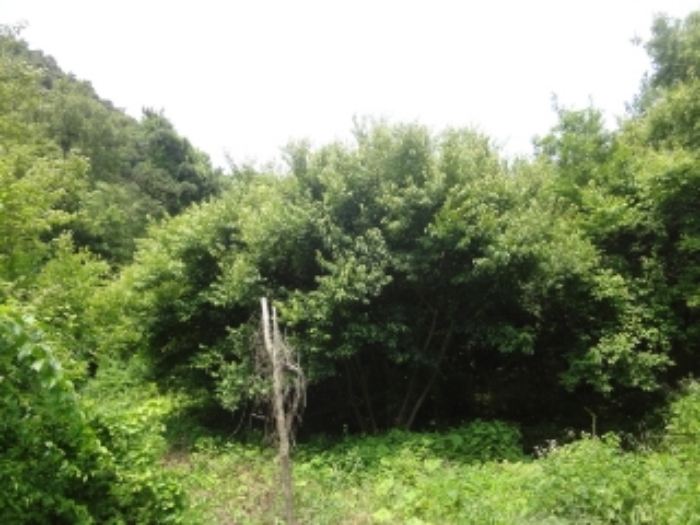 광주지법 2019타경8625-1 사진