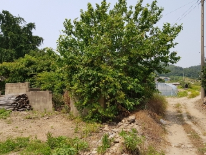 광주지법 2019타경8922-2 사진