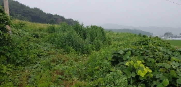 광주지법 2019타경9352-1 사진
