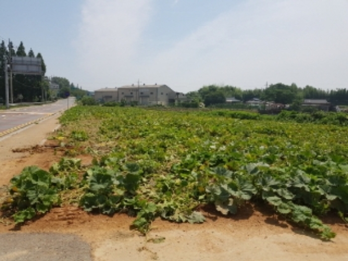 광주지법 2019타경9376-1 사진