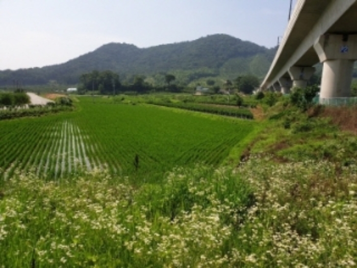광주지법 2019타경9475-1 사진