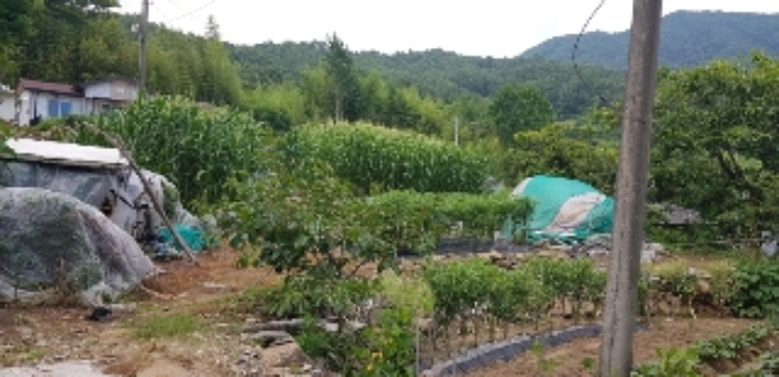 광주지법 2019타경9512-1 사진
