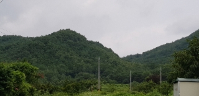 광주지법 2019타경9901-2 사진