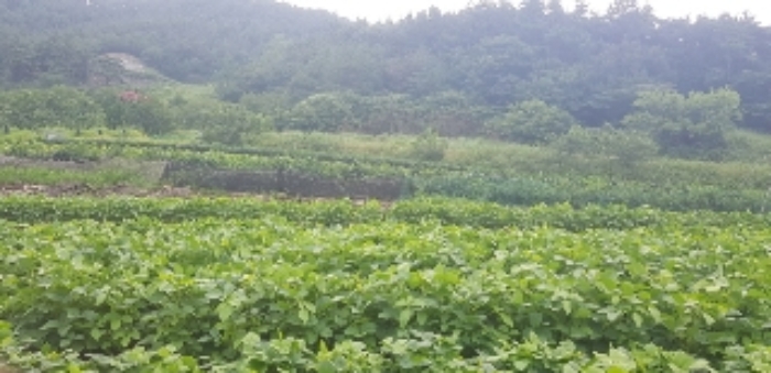광주지법 2019타경11249-3 사진