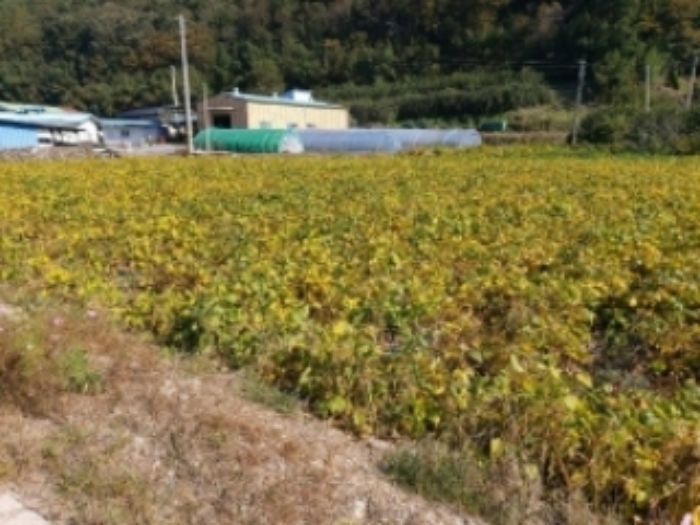 광주지법 2019타경14644-2 사진