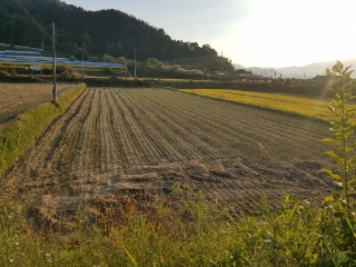 광주지법 2019타경14972-1 사진