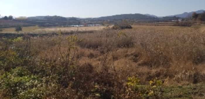 광주지법 2019타경15944-2 사진