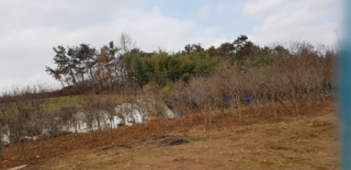광주지법 2019타경17278-3 사진