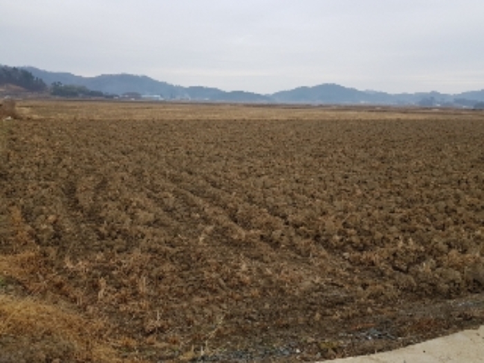 광주지법 2019타경18653-1 사진