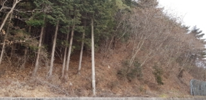 광주지법 2019타경61138-1 사진
