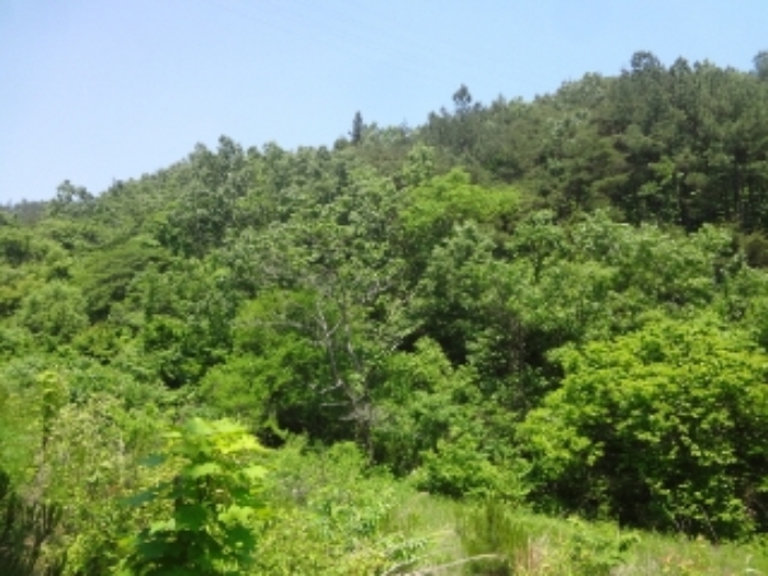 광주지법 2019타경65505-1 사진