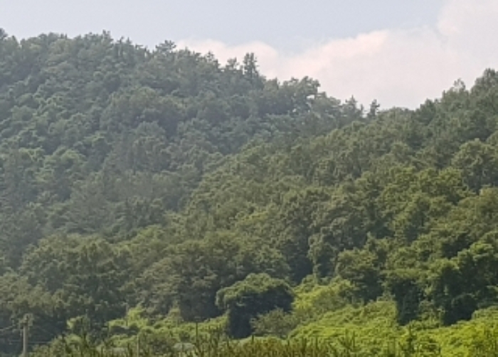광주지법 2019타경68979-1 사진