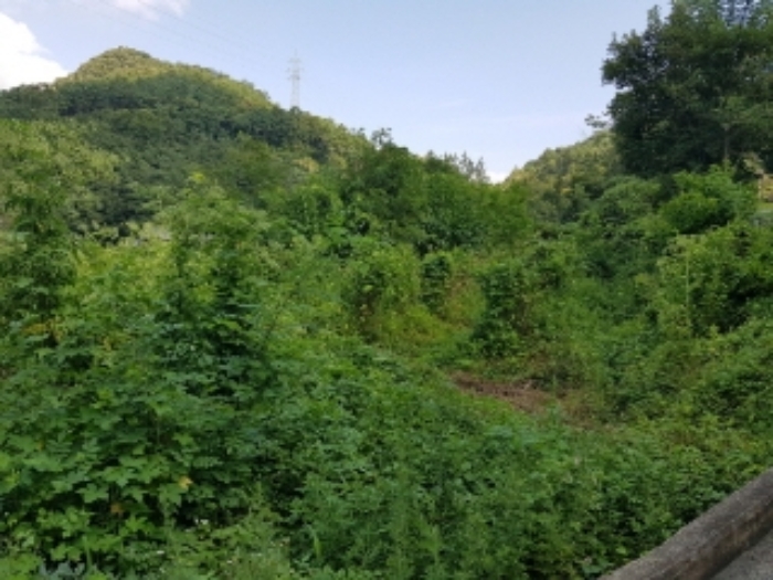 광주지법 2019타경70088-4 사진