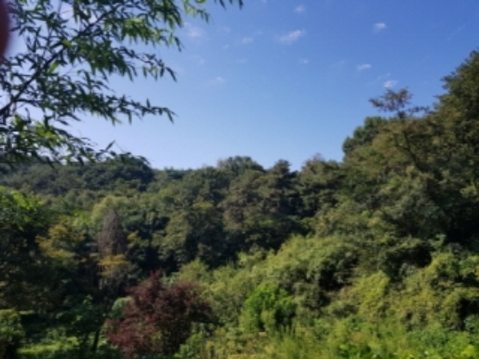광주지법 2019타경70149-1 사진
