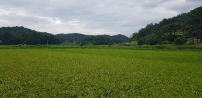광주지법 2019타경70378-1 사진