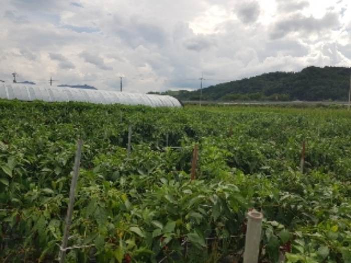 광주지법 2019타경70576-1 사진