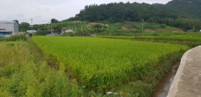 광주지법 2019타경70699-1 사진