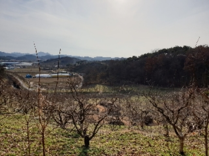 광주지법 2019타경75953-1 사진
