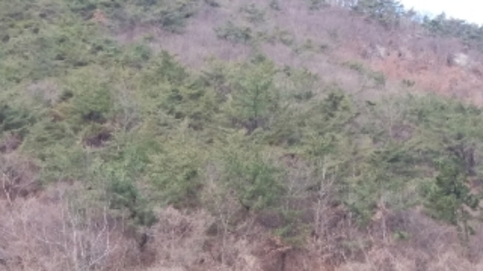 광주지법 2020타경733-1 사진