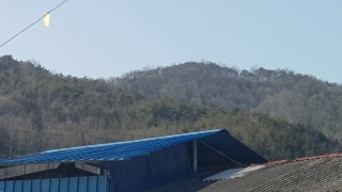 광주지법 2020타경60148-1 사진