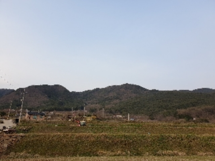 광주지법 2020타경63987-1 사진