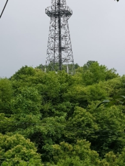 광주지법 2020타경67989-4 사진