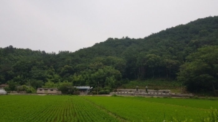 광주지법 2020타경68210-1 사진