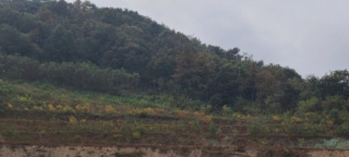 광주지법 2020타경73465-1 사진