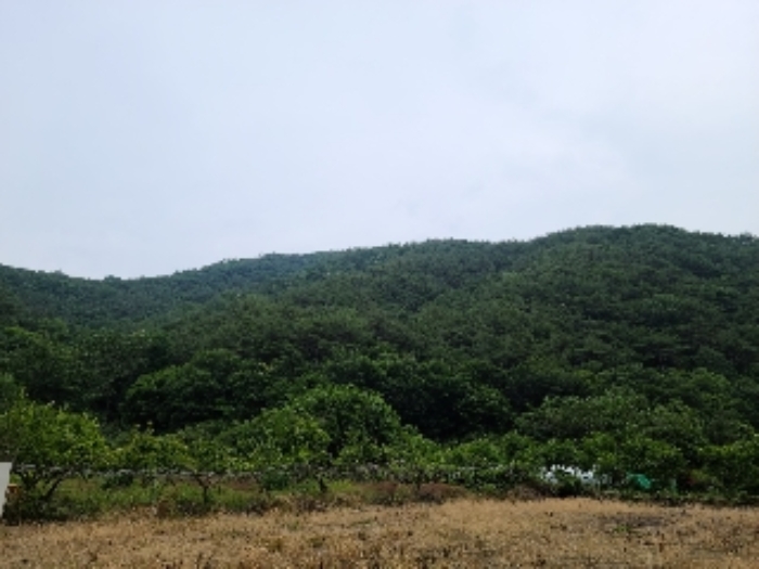 광주지법 2021타경4213-1 사진