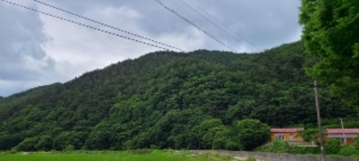 광주지법 2021타경4220-1 사진