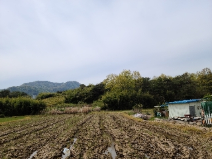 광주지법 2021타경66402-1 사진