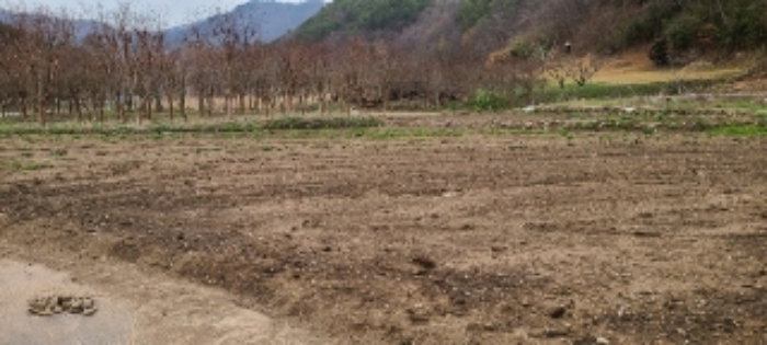 광주지법 2022타경64120-1 사진