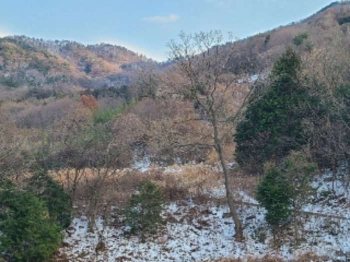 광주지법 2022타경77140-1 사진