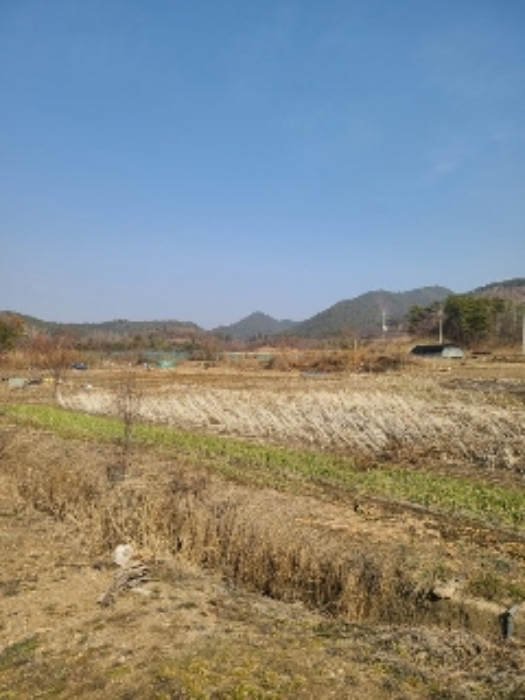 광주지법 2023타경60743-1 사진