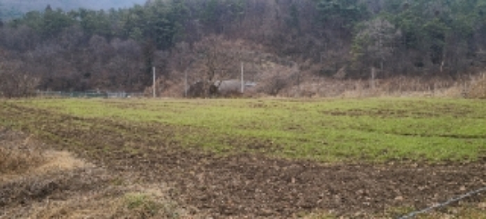 광주지법 2023타경62497-1 사진