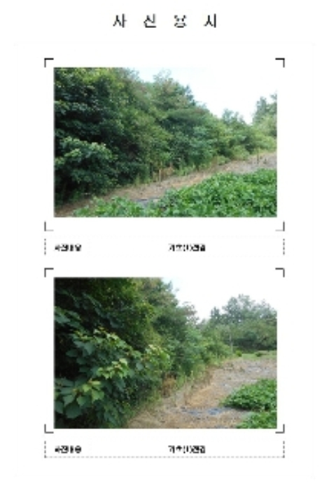 목포지원 2017타경5670-2 사진
