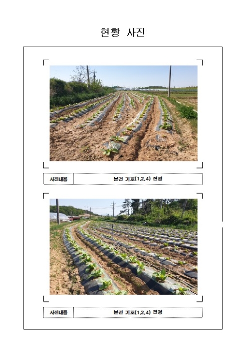 목포지원 2019타경52052-2 사진