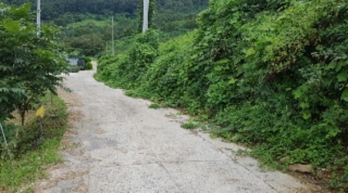 순천지원 2017타경8323-1 사진
