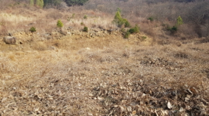 순천지원 2017타경12933-1 사진