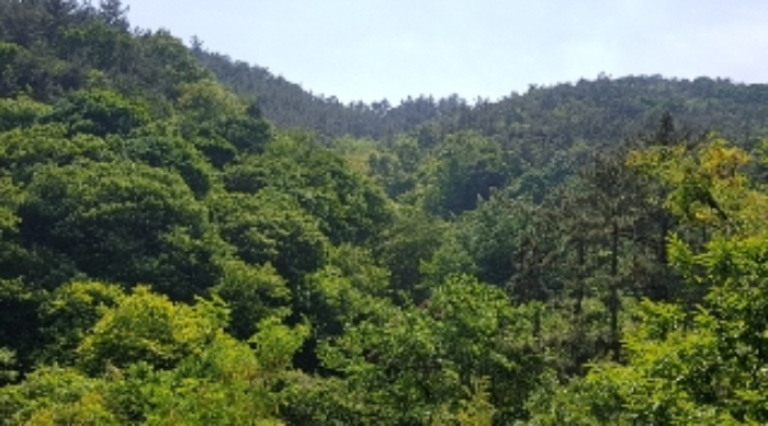 순천지원 2017타경51433-6 사진
