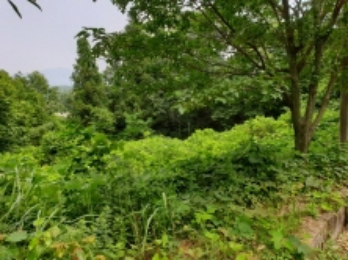 순천지원 2019타경5977-1 사진