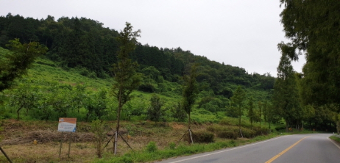 순천지원 2019타경6895-1 사진