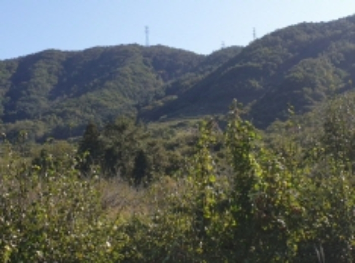순천지원 2019타경8624-2 사진