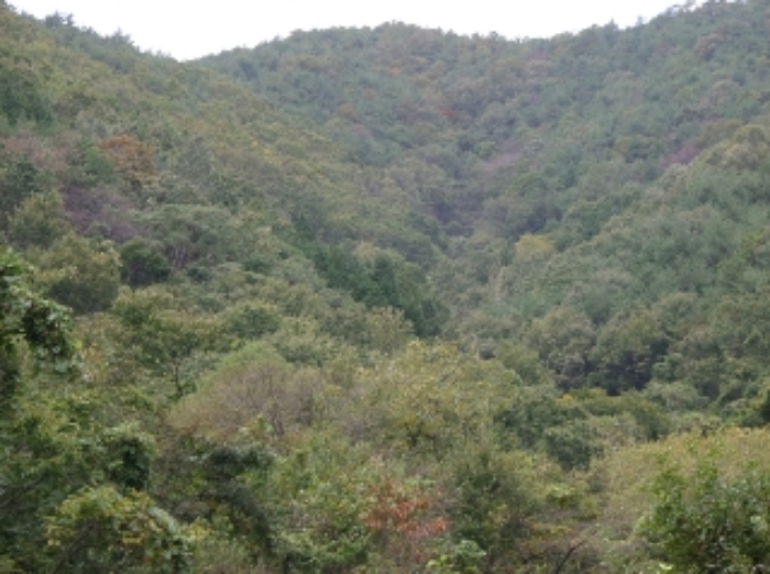 순천지원 2019타경8969-1 사진
