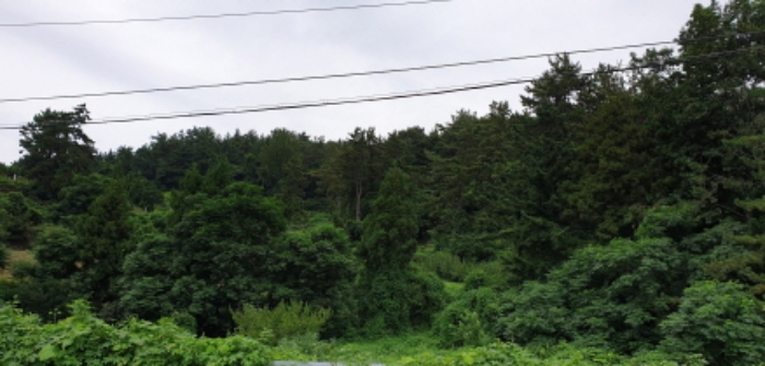 순천지원 2019타경54832-1 사진